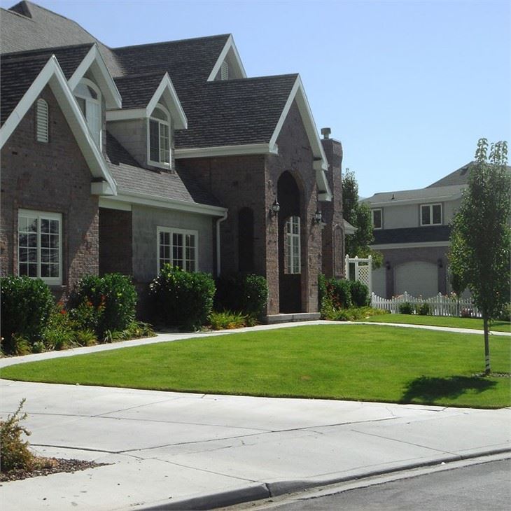 Landscape Artificial Grass Lawn