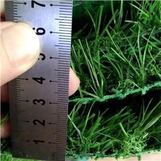 tout le gazon artificiel vert